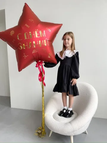 "С днем знаний" звезда