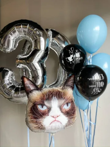 Моему сердитому коту